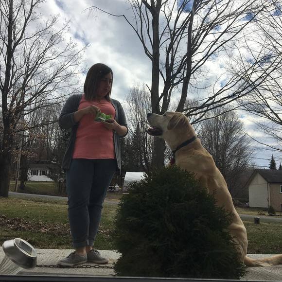 Meet your Posher, Martine - Picture 1 of 1